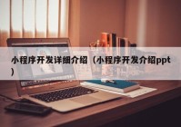 小程序开发详细介绍（小程序开发介绍ppt）